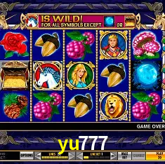yu777 Rio de Janeiro - Bonus Terms